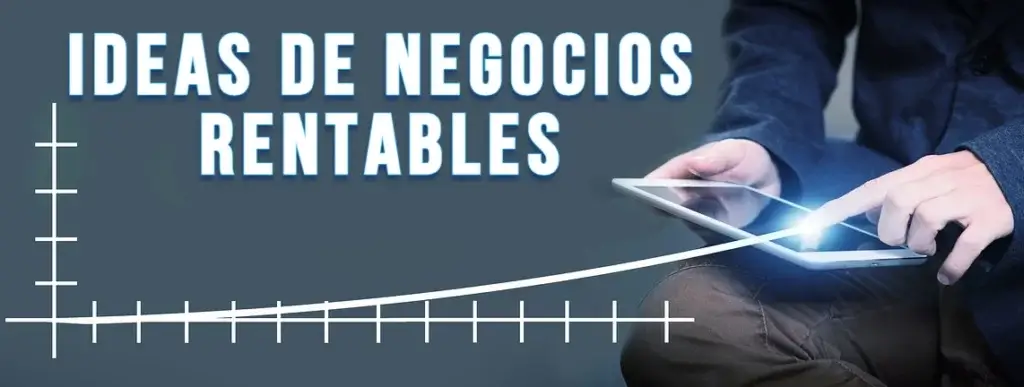 Ideas de negocios rentables