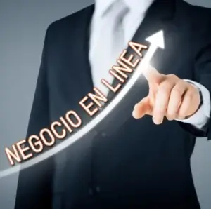 negocio en linea