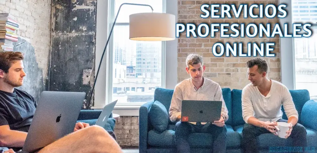 servicios profesionales